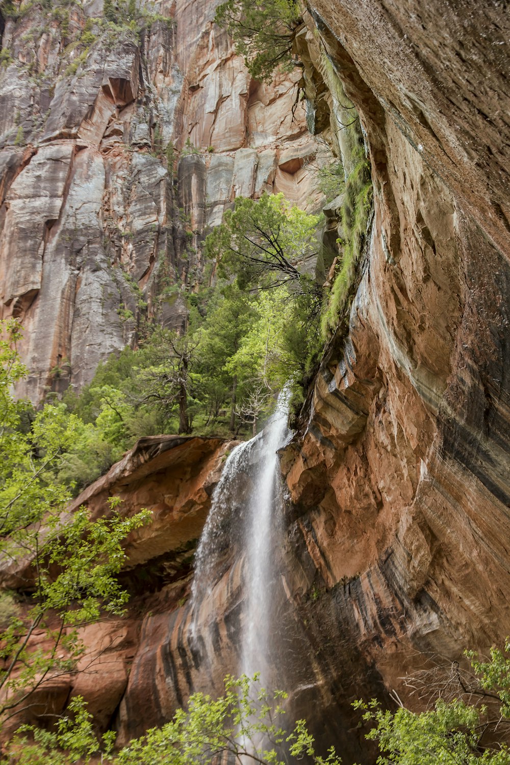 waterfalls in the middle of the forest