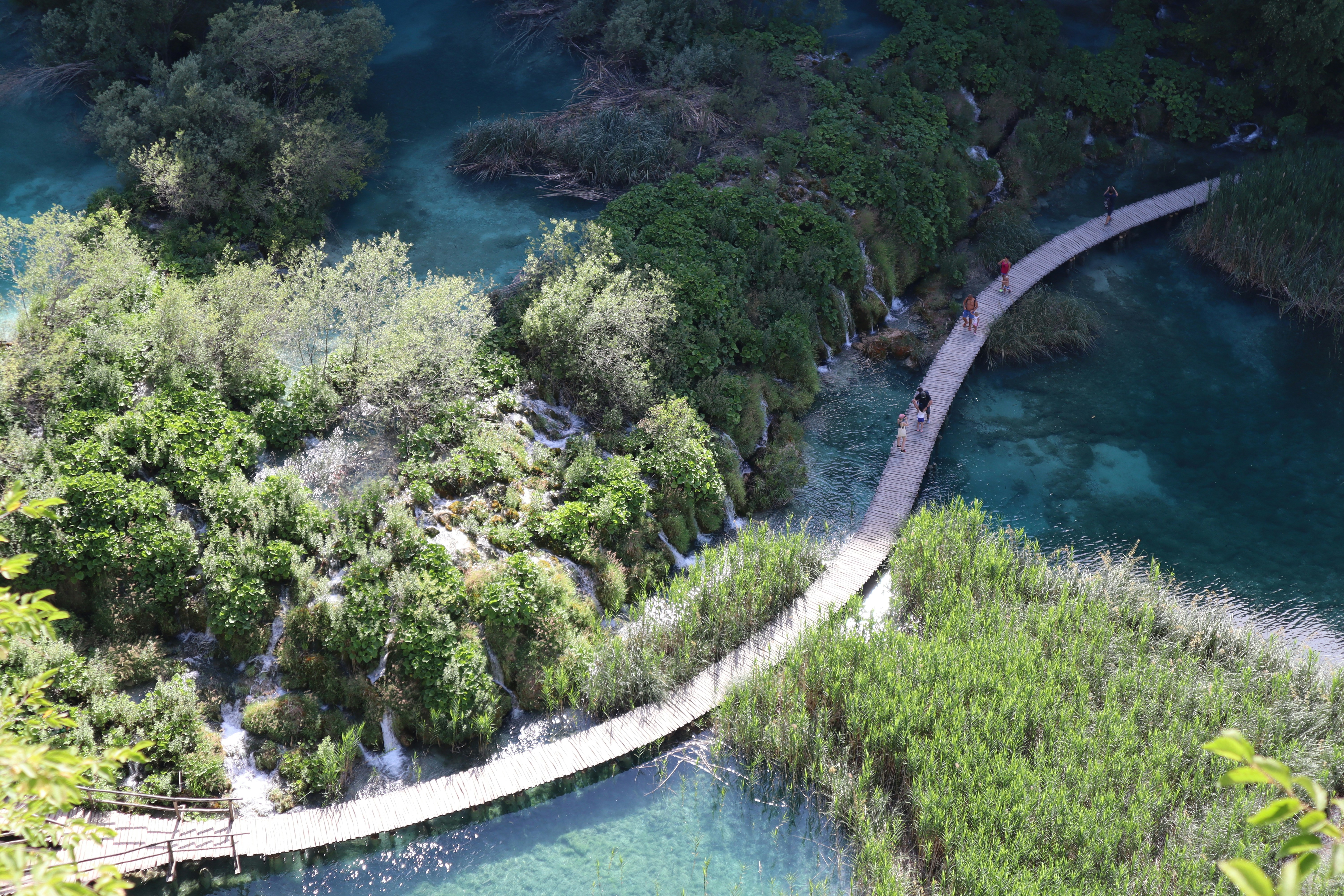 Photo by photasticlab