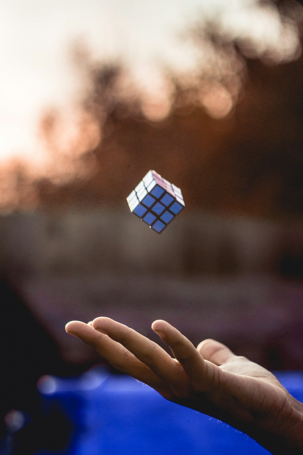 person holding blue and white cube