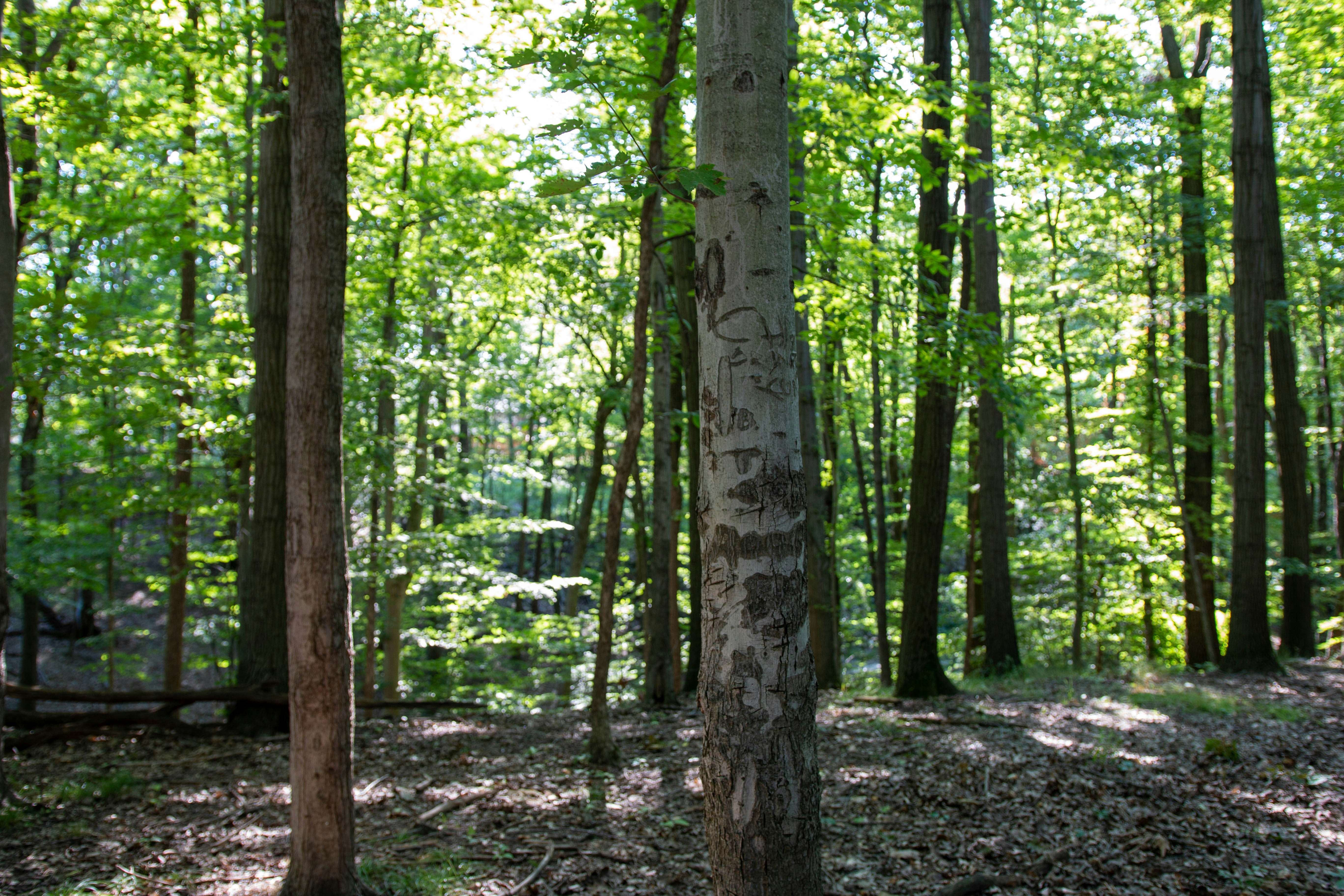 Photo by drkolomiyets