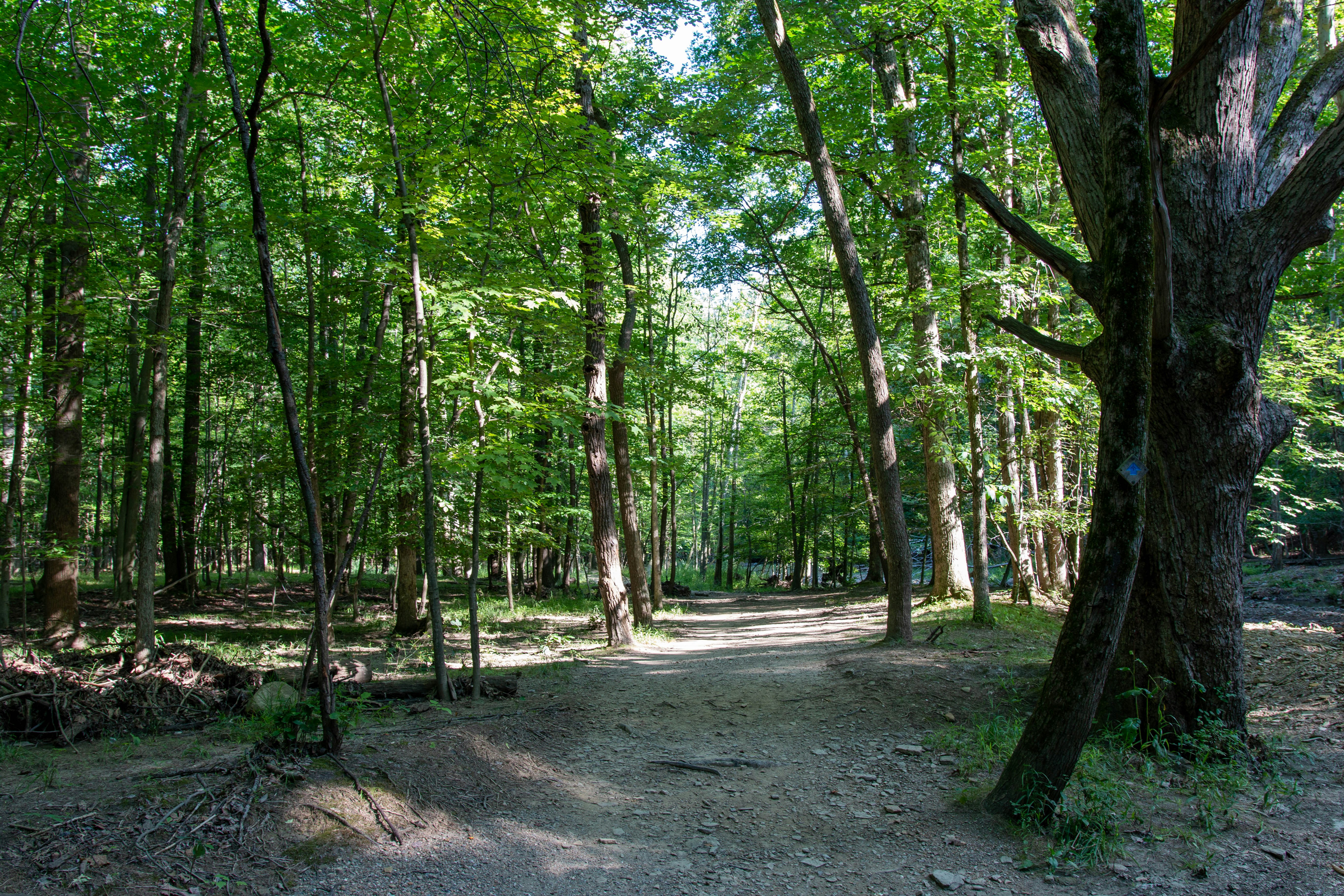 Photo by drkolomiyets