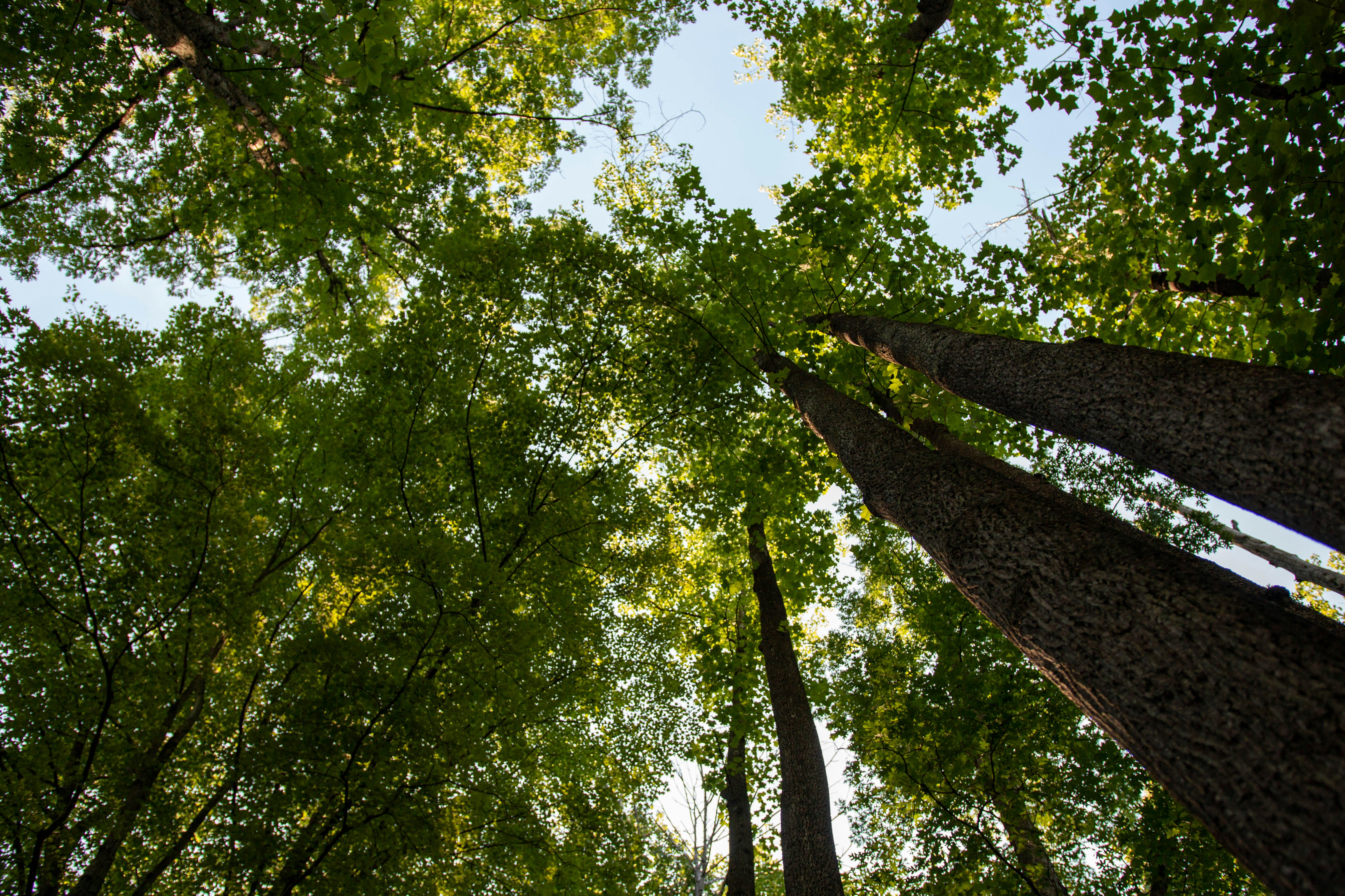 Photo by drkolomiyets