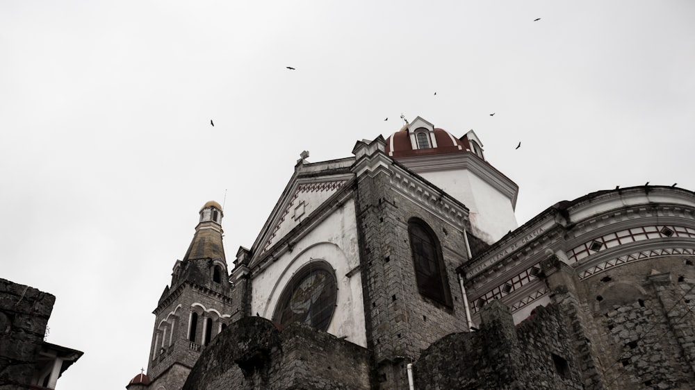 birds flying over the building