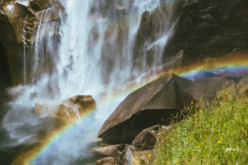 water falls in the middle of the forest