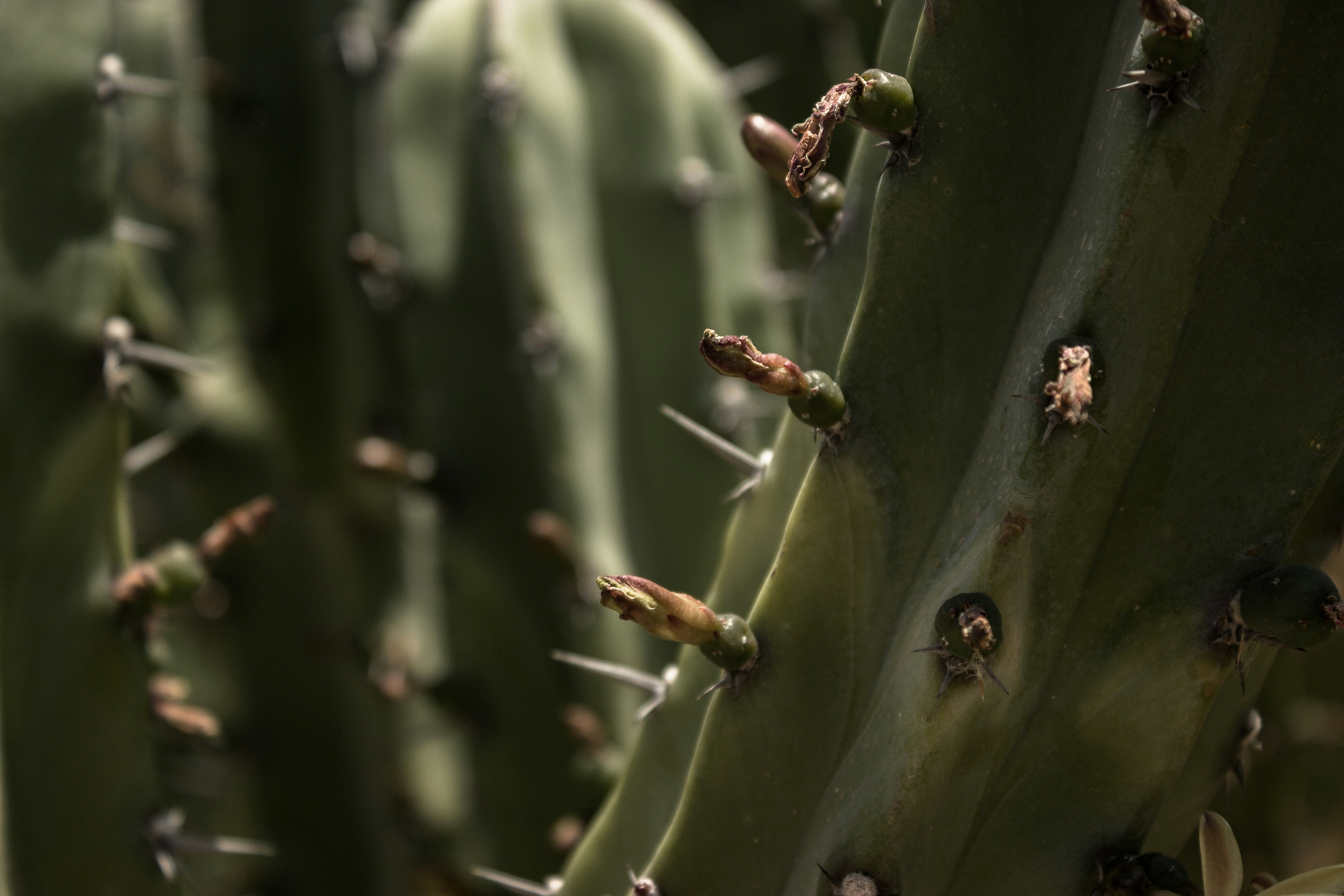 Photo by ricardogomgar