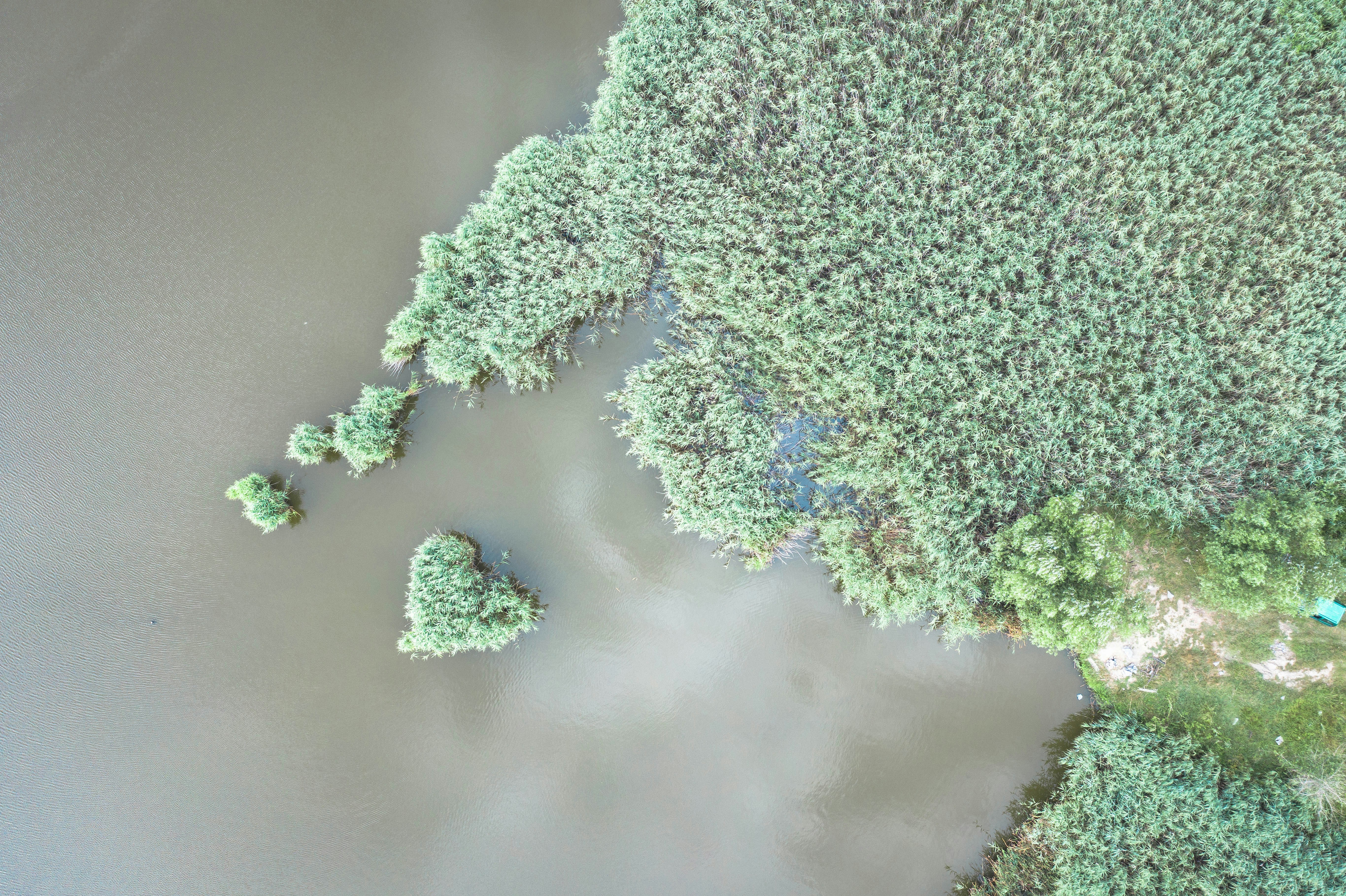 Photo by milica_spasojevic