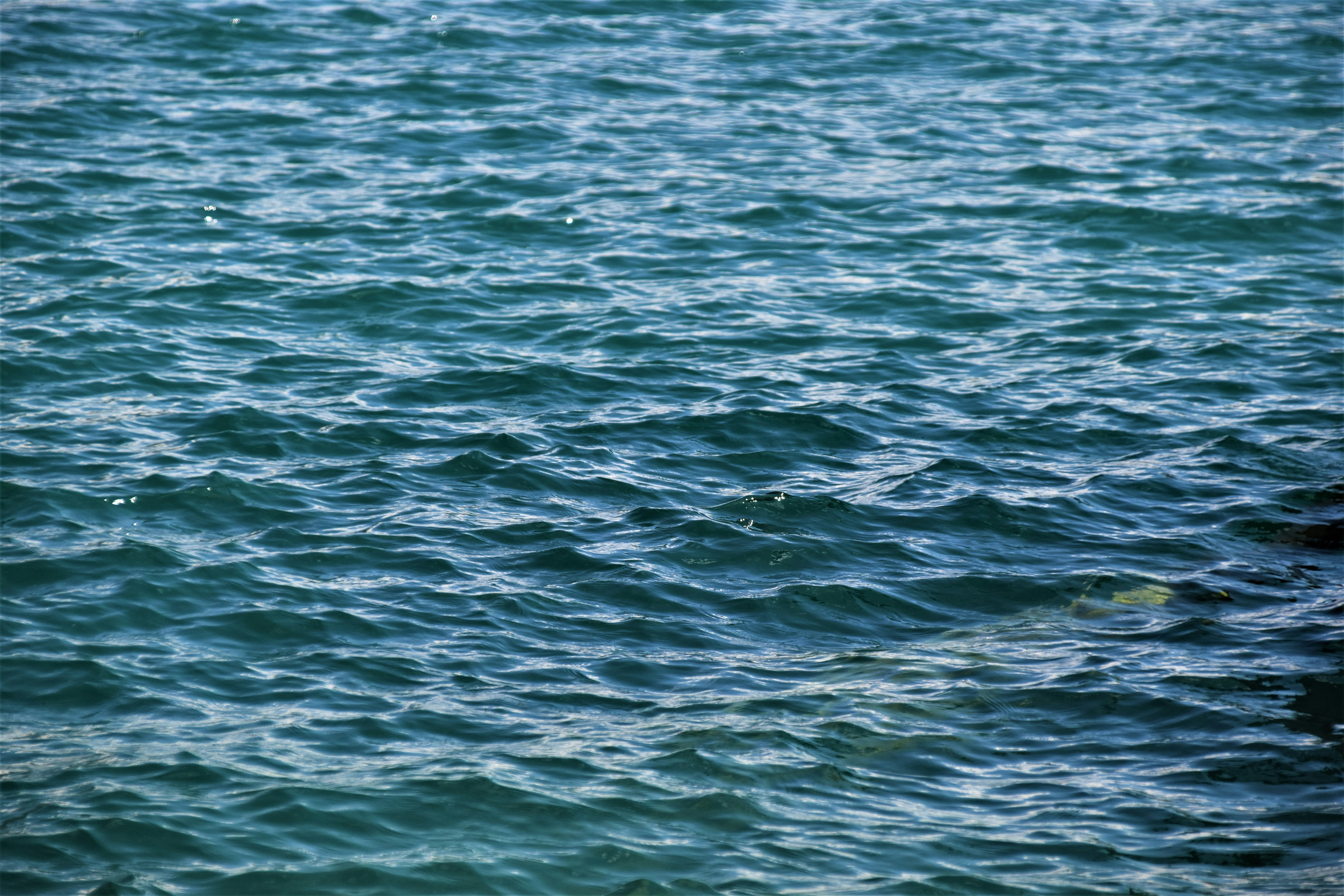 blue body of water during daytime