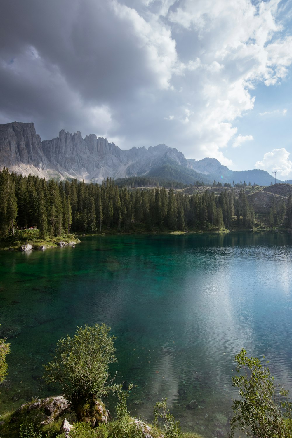 Grüne Bäume in der Nähe von See und Berg tagsüber unter blauem Himmel