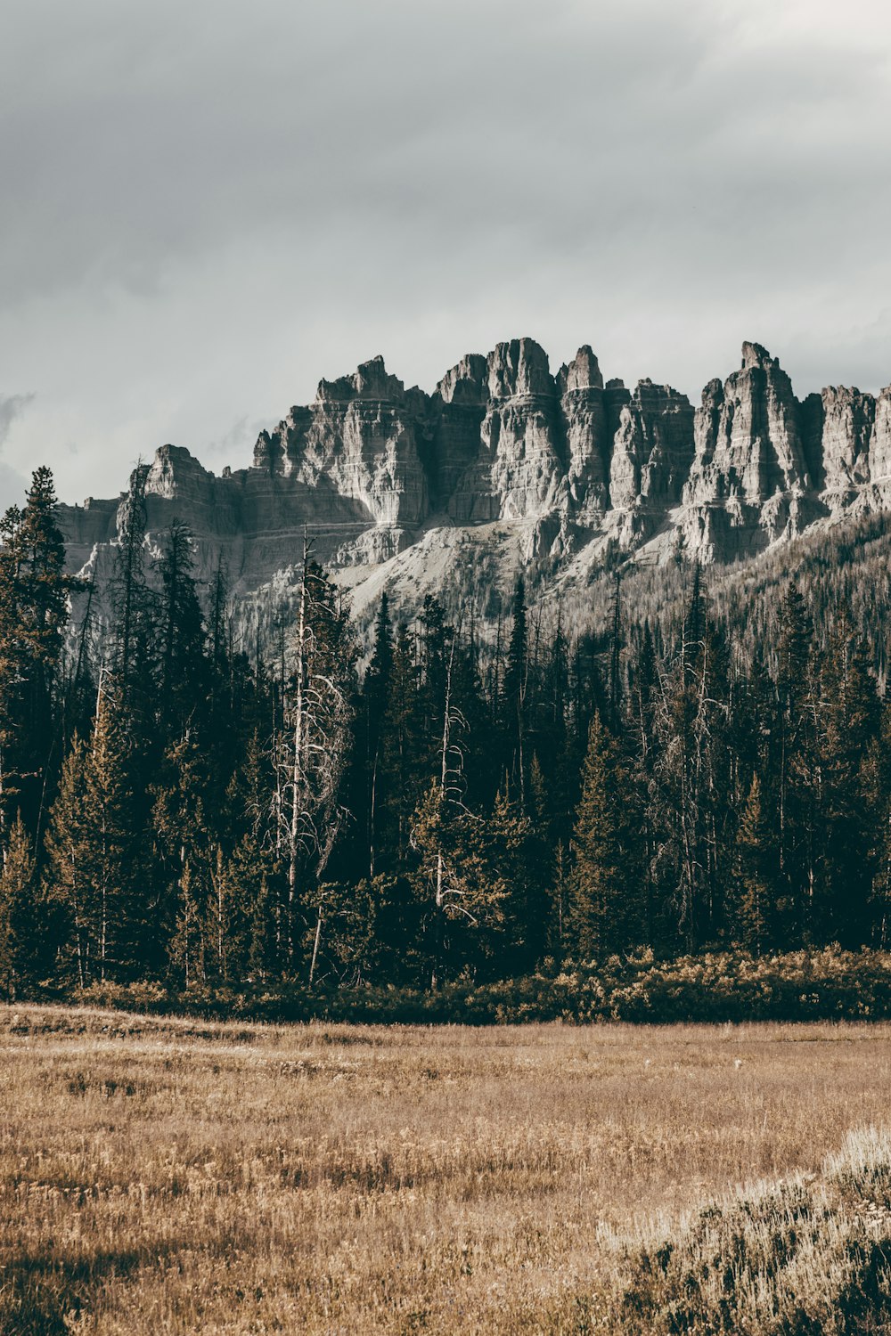 green trees near mountain during daytime