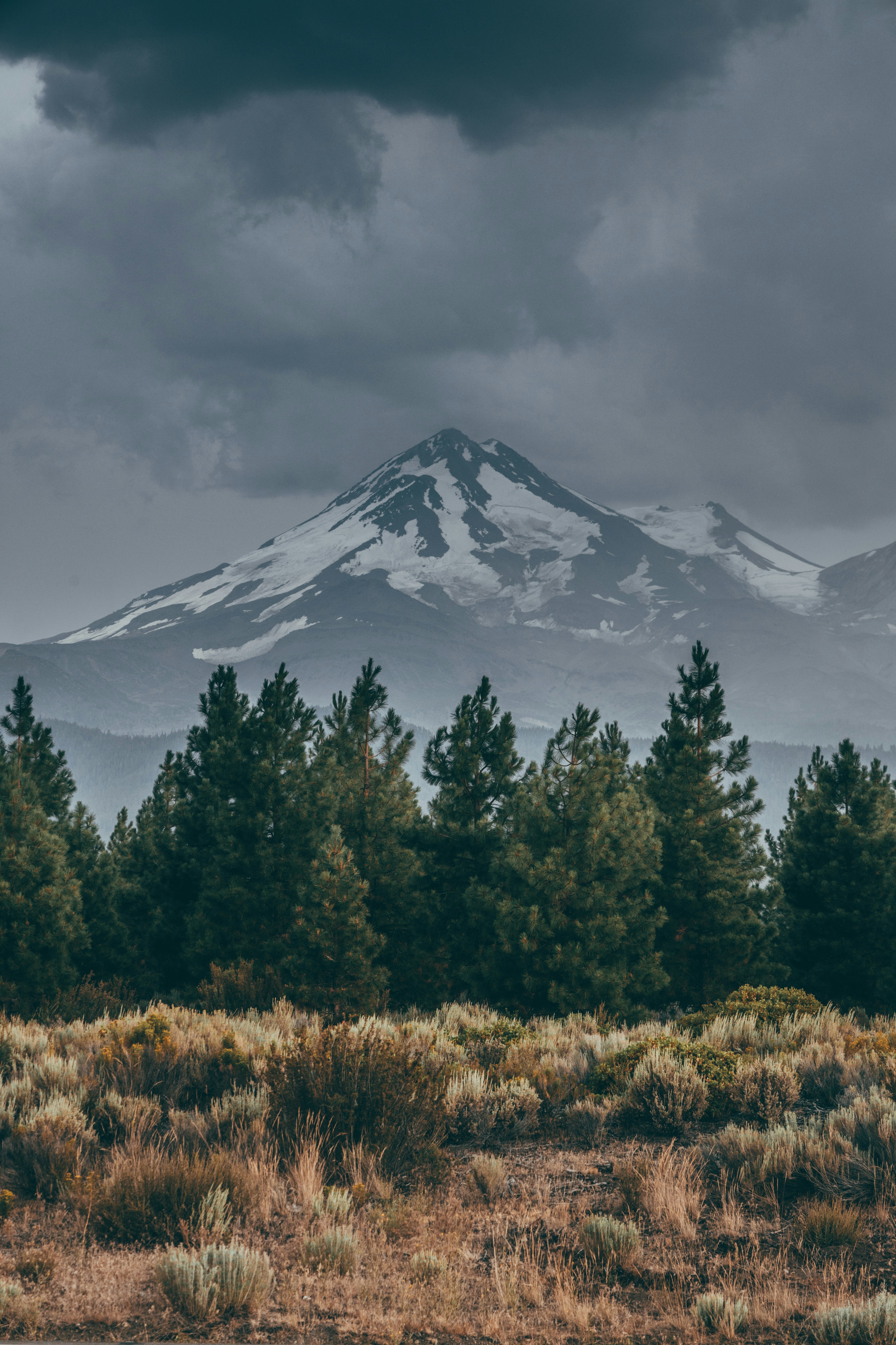 green trees near snow covered mountain under cloudy sky during daytime
