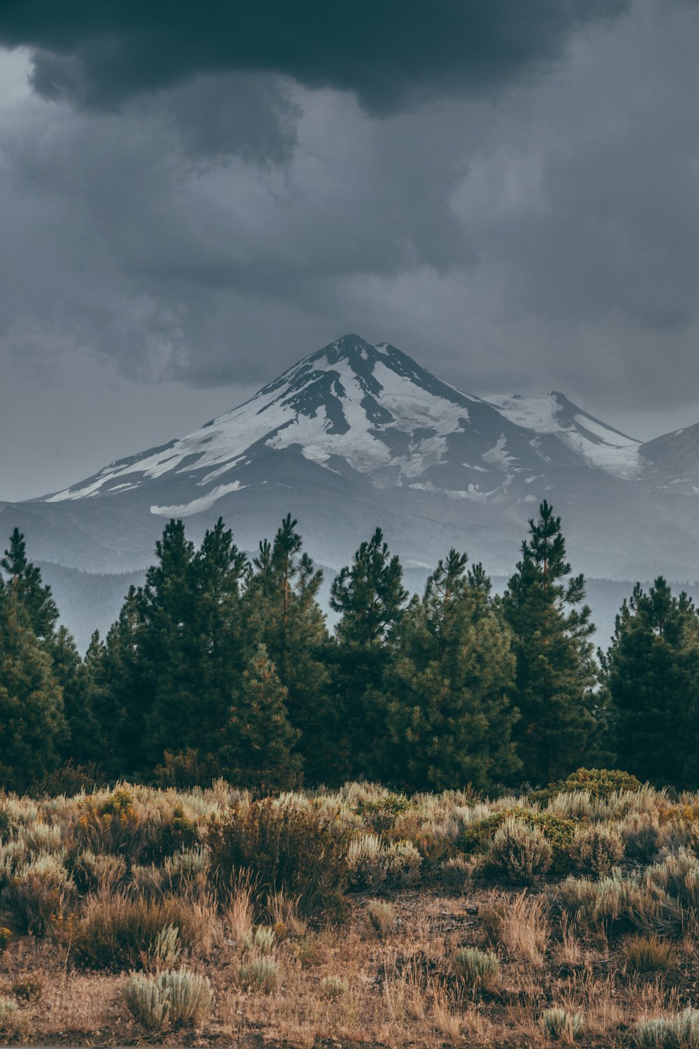 green trees near snow covered mountain under cloudy sky during daytime