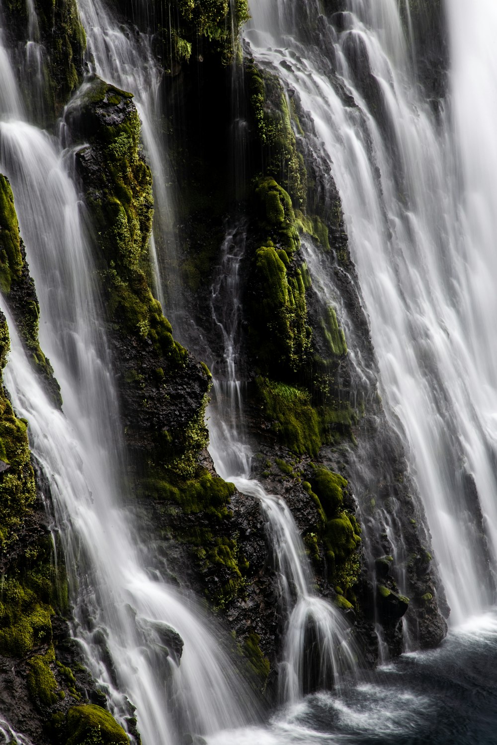 water falls in the middle of the forest