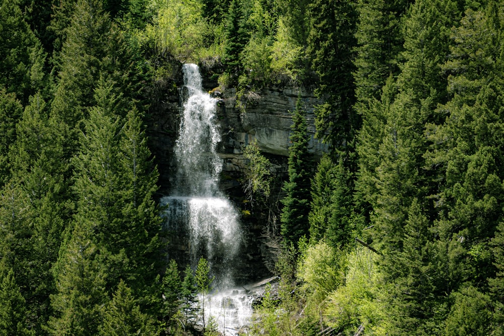 green pine trees near waterfalls during daytime