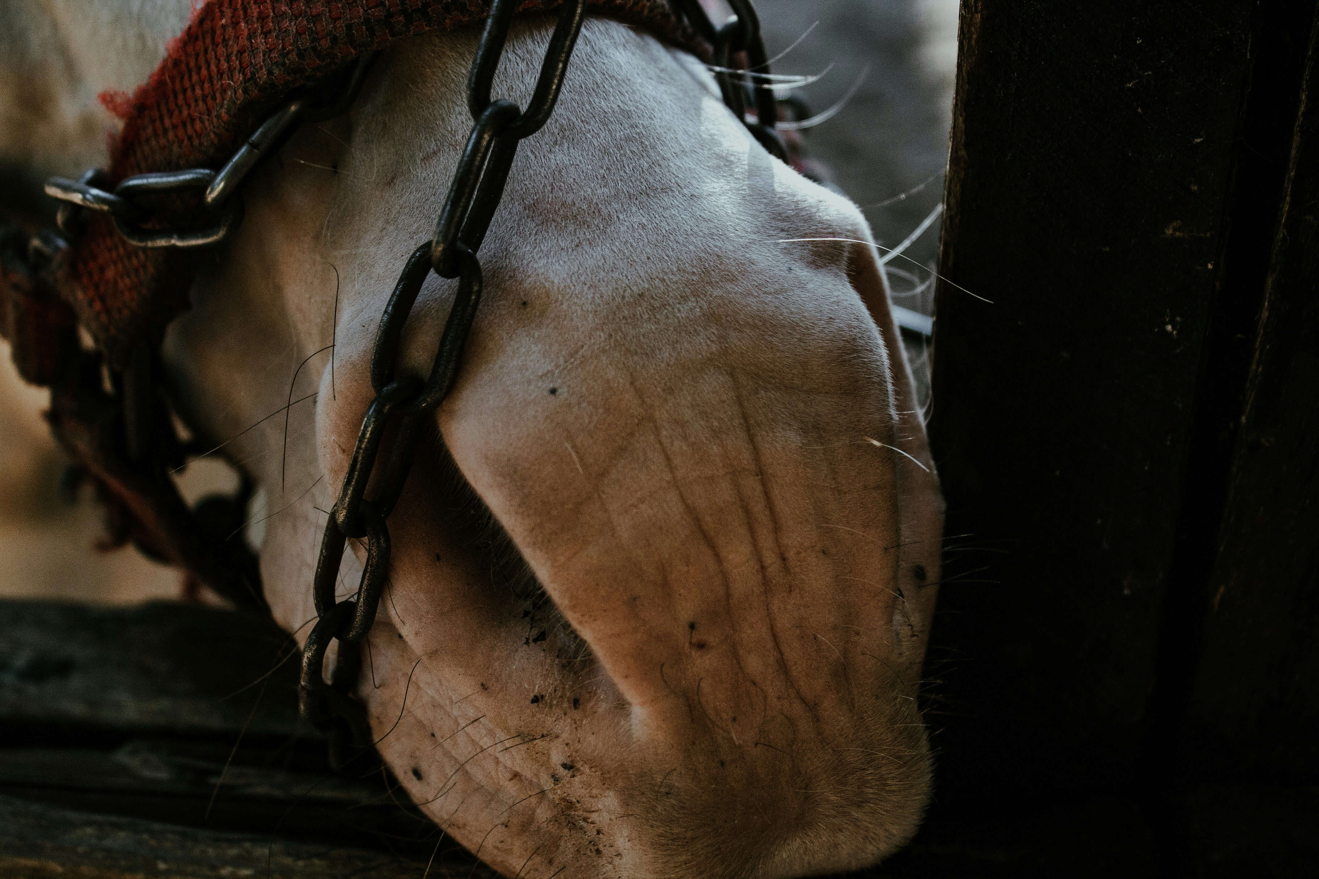 Photo by kapturedbyr