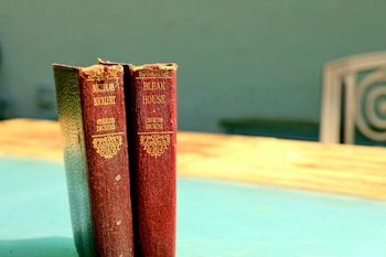 Two vintage hardcover books stand on a sunlit table. The titles visible are 'Nicholas Nickleby' and 'Bleak House', both authored by Charles Dickens. The books feature ornate gold lettering on their spines and are positioned with sunlight highlighting their textures. The background is blurred, creating a sense of depth and focus on the books.
