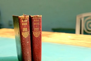 Two vintage hardcover books stand on a sunlit table. The titles visible are 'Nicholas Nickleby' and 'Bleak House', both authored by Charles Dickens. The books feature ornate gold lettering on their spines and are positioned with sunlight highlighting their textures. The background is blurred, creating a sense of depth and focus on the books.