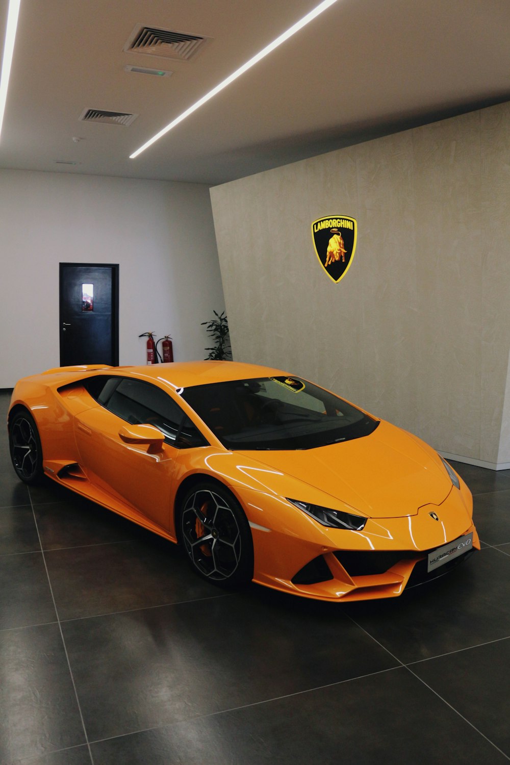 orange lamborghini aventador parked beside white wall