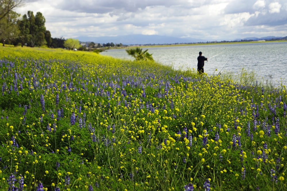person in black jacket walking on yellow flower field during daytime