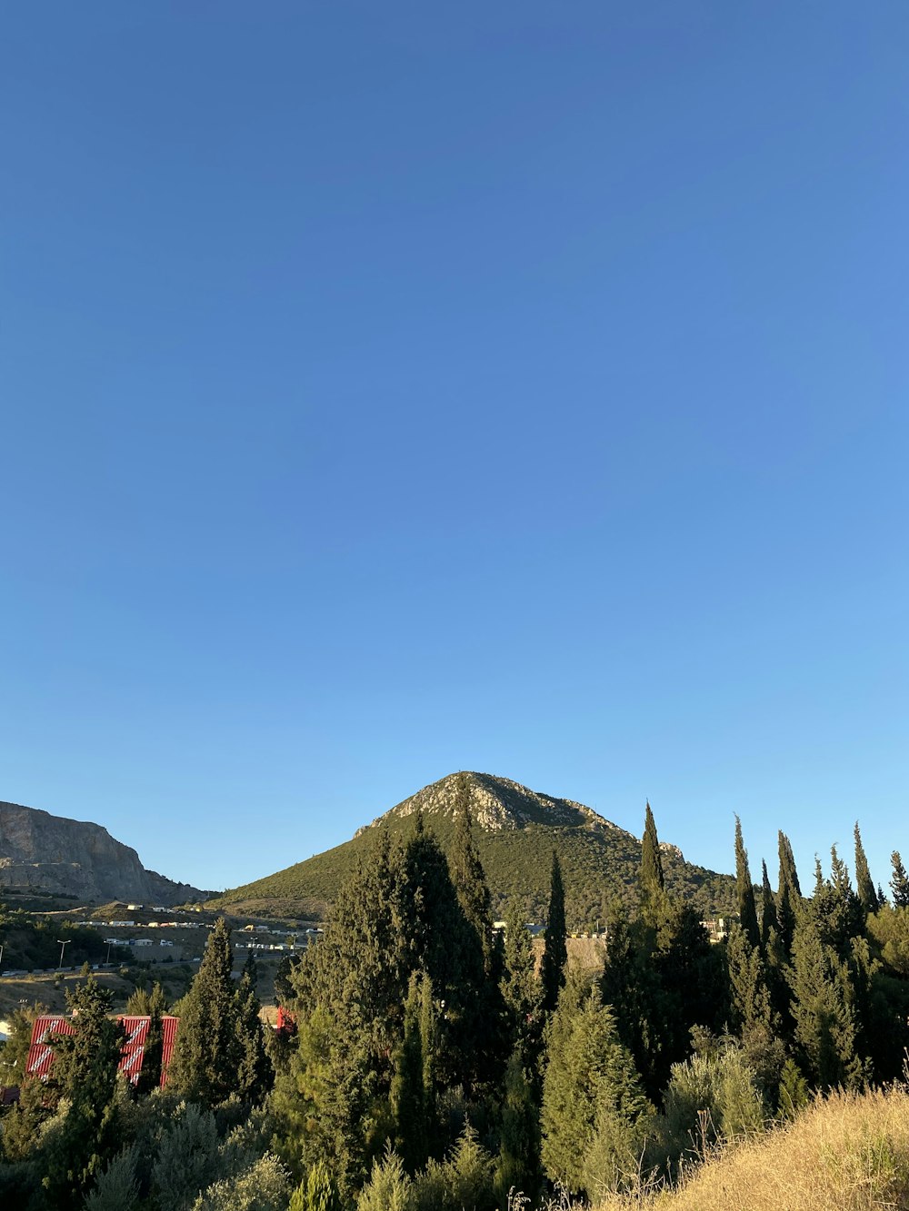 green trees on mountain under blue sky during daytime