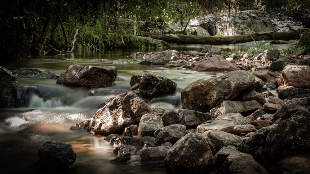 brown rocks on river during daytime
