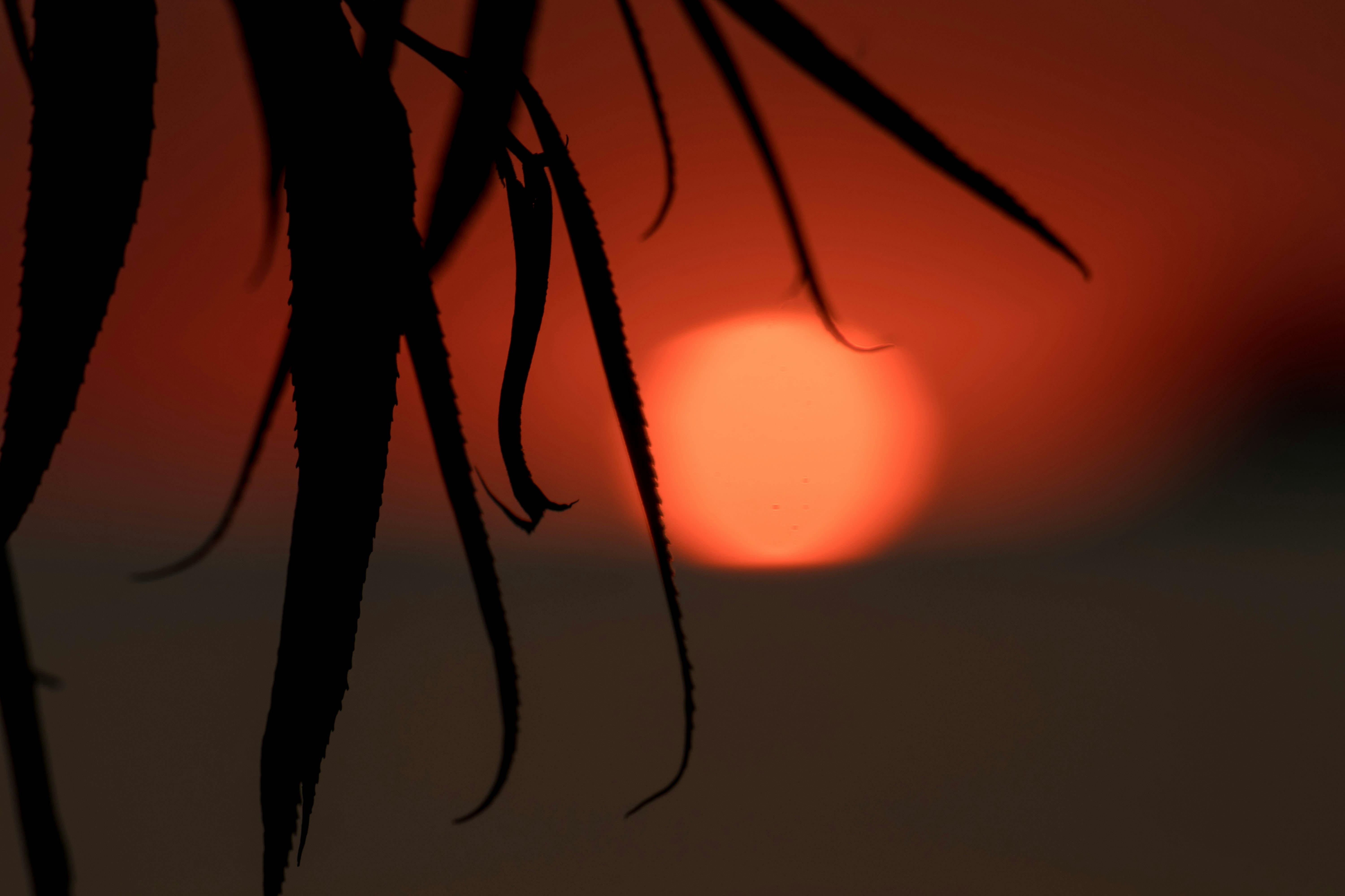 Photo by sonianadales