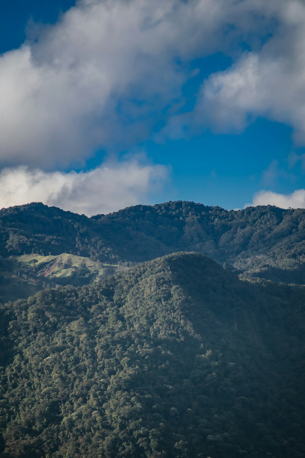 green and brown mountain under blue sky during daytime