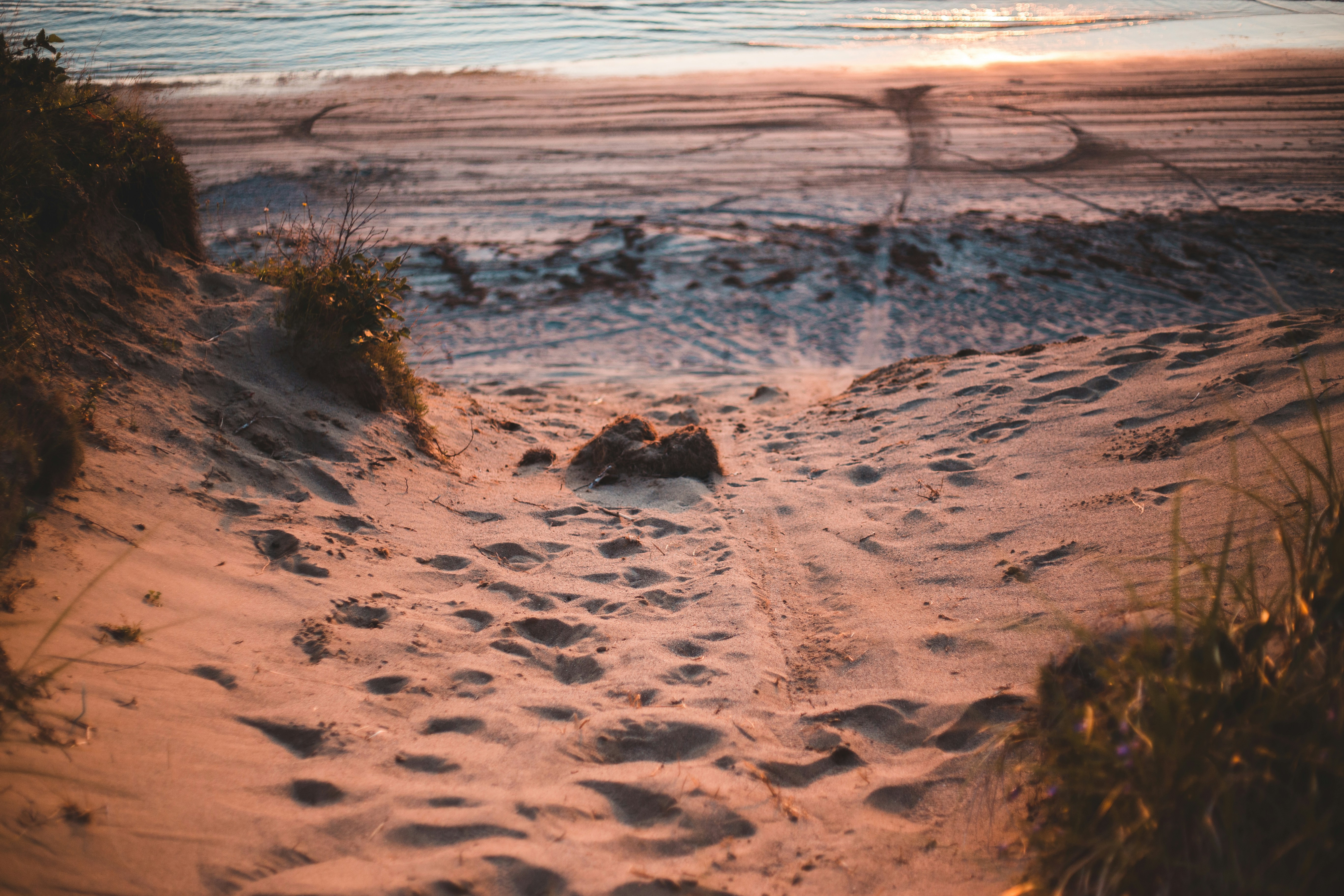 Brown sand near body of water during daytime photo – Free Grey Image on ...