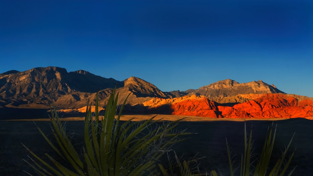 brown mountains under blue sky during daytime