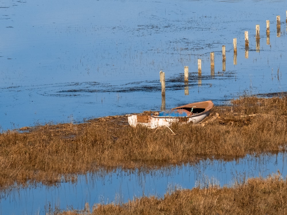 brown wooden boat on brown grass field near body of water during daytime