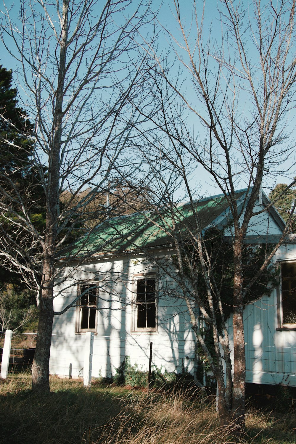 alberi spogli vicino alla casa di cemento bianco durante il giorno