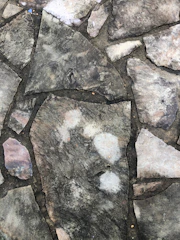 Close-up of a craftsman fitting natural stone tiles on a patio.