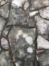 A close-up view of a patterned stone pavement with irregularly shaped stones fitted together. The stones vary in shades of gray and brown, with visible natural textures and weathering. Dark lines of grout fill the gaps between the stones.