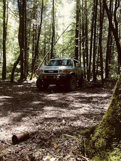 blue car in the woods
