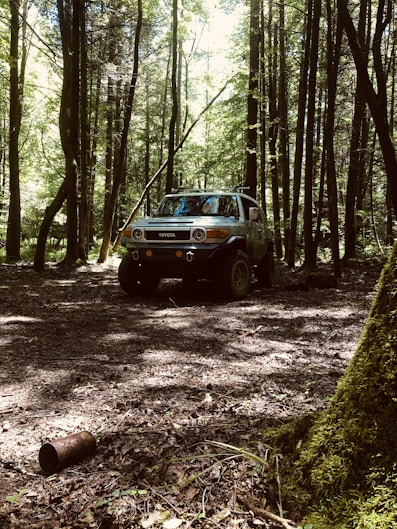 blue car in the woods