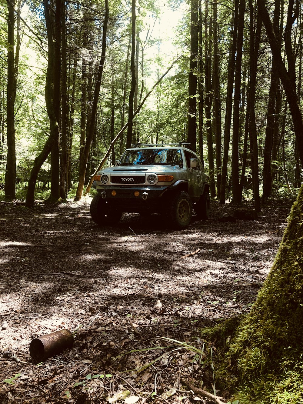 blue car in the woods