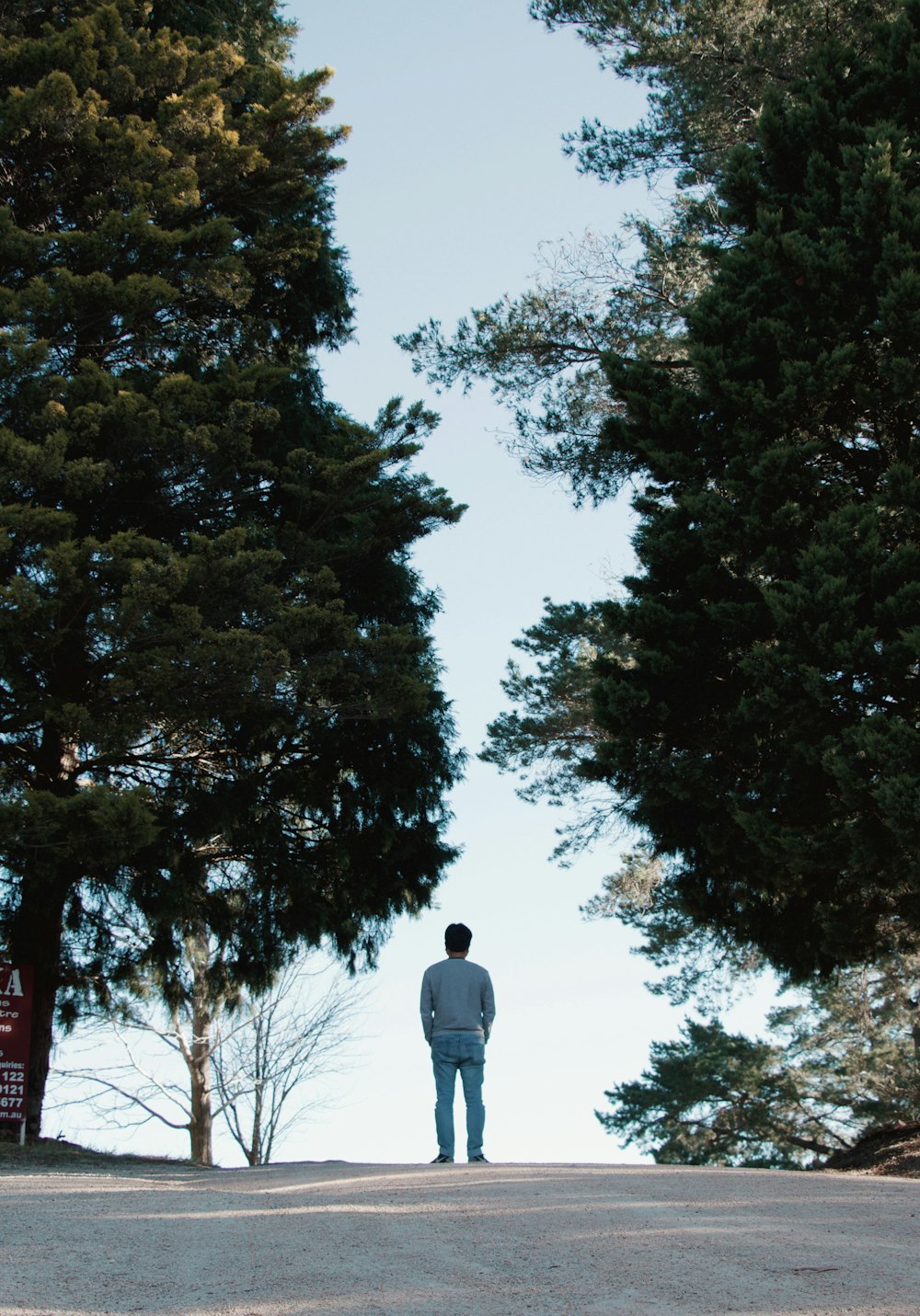 uomo in giacca grigia in piedi vicino agli alberi verdi durante il giorno