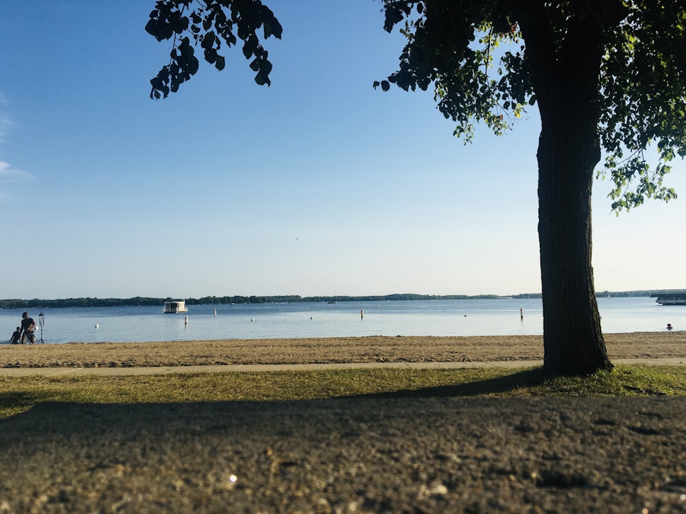 people on beach during daytime