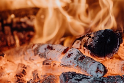 brown and black chocolate cake