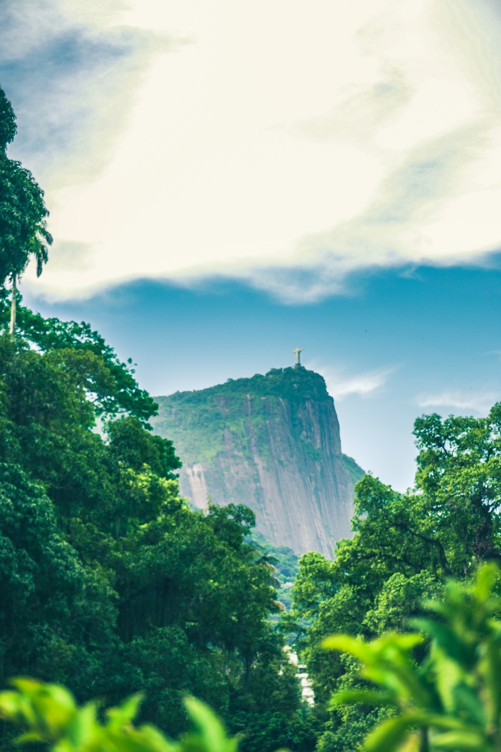 green trees on mountain under blue sky during daytime