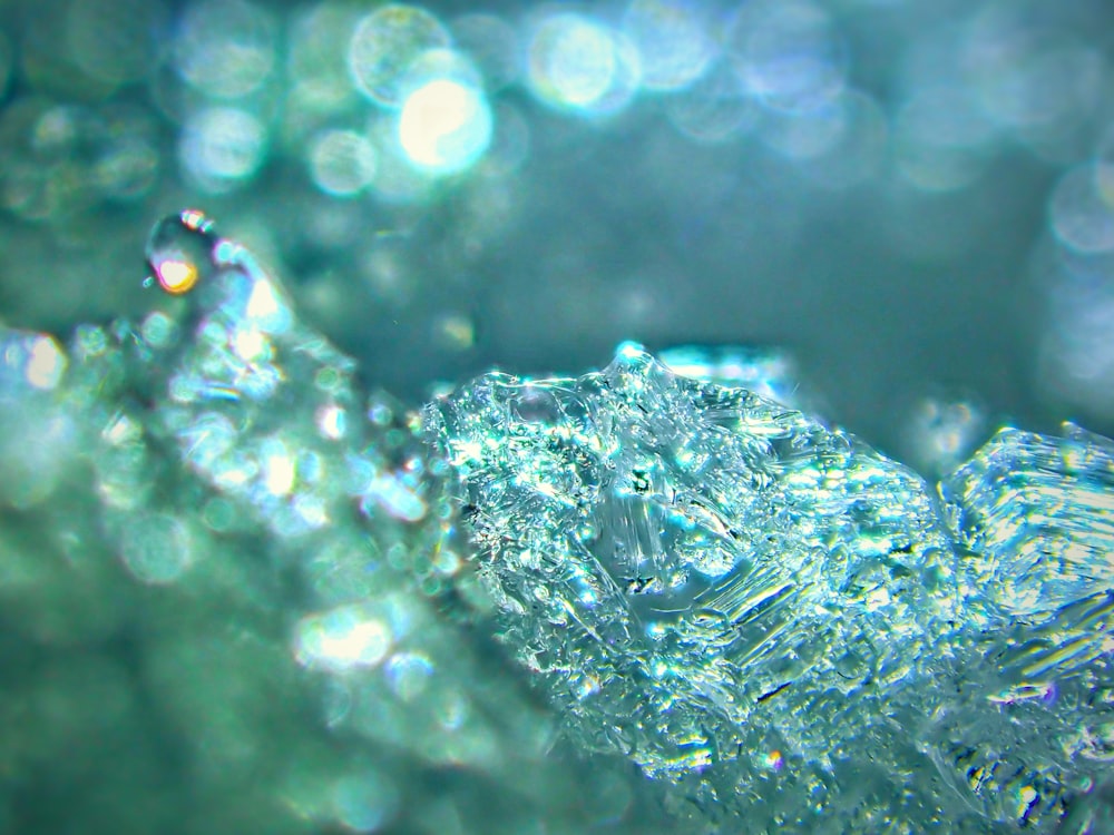 gotas de agua en una planta verde