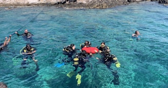 people in water during daytime