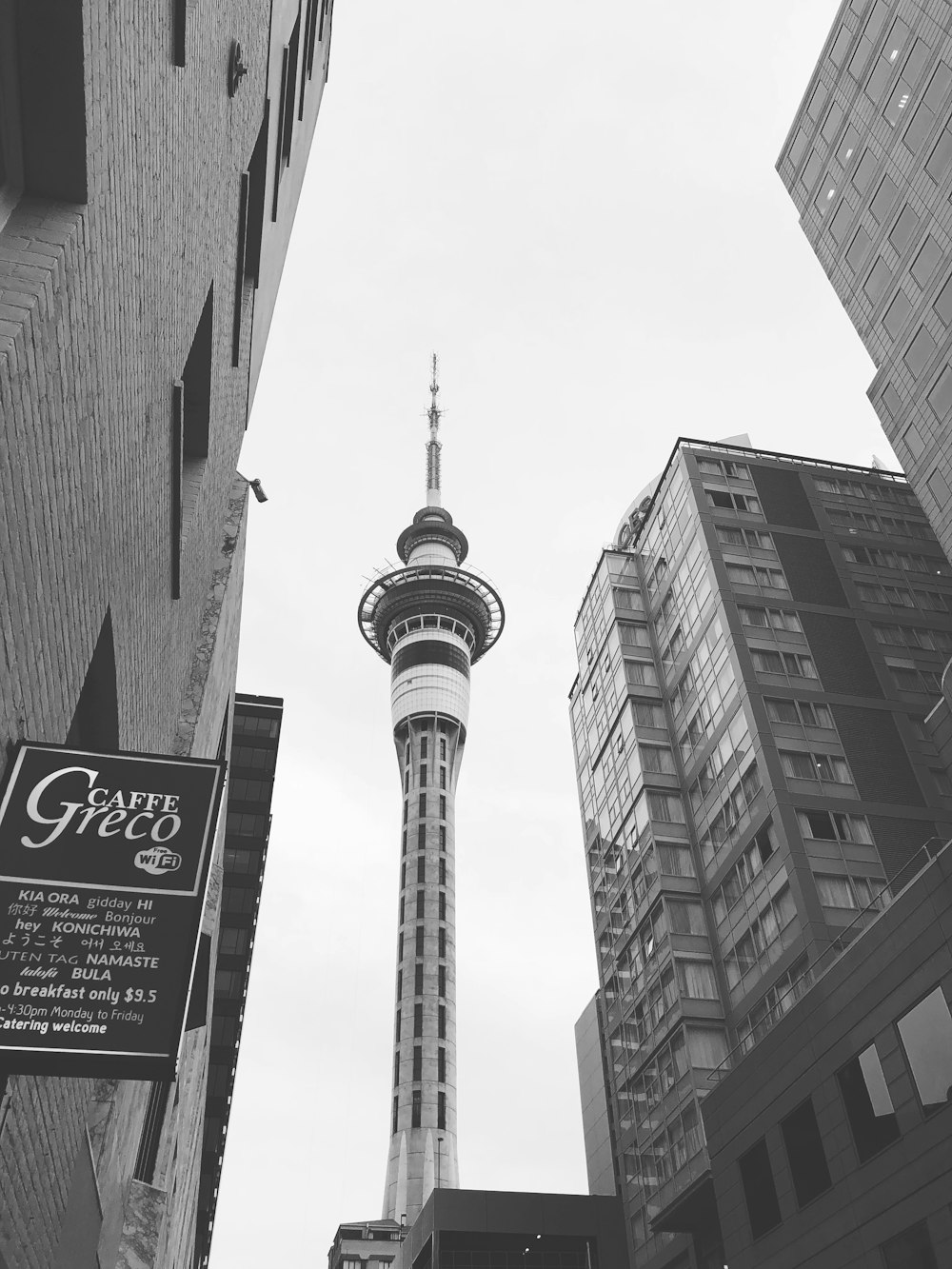 grayscale photo of high rise building