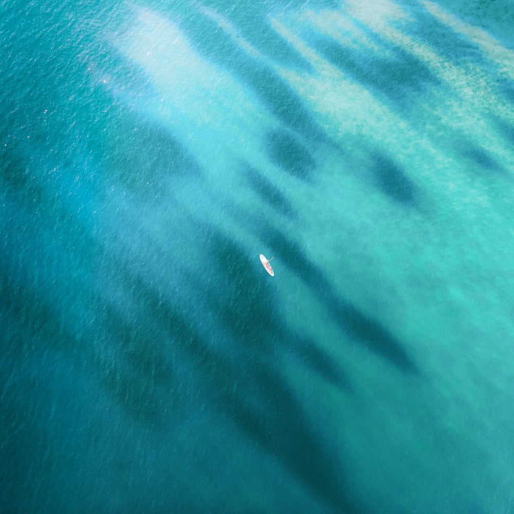 aerial view of body of water during daytime