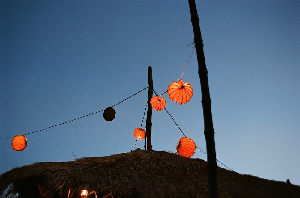 brown and orange paper lantern on brown wooden post under blue sky during daytime