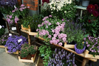 An elegant display of assorted flower pots with vibrant flowers.
