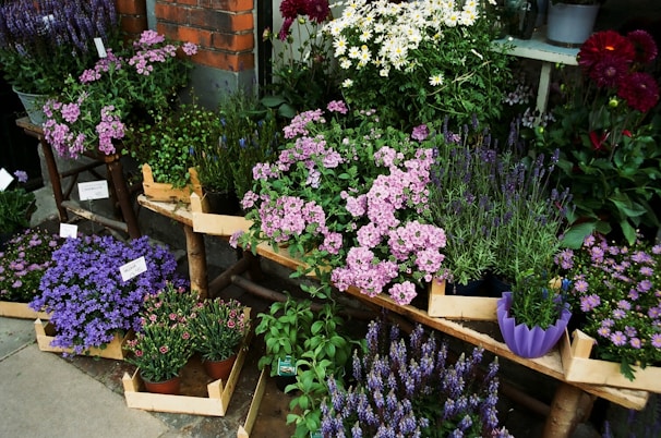 A rustic flower shop display featuring an assortment of stylish plant pots ready for wholesale supply.