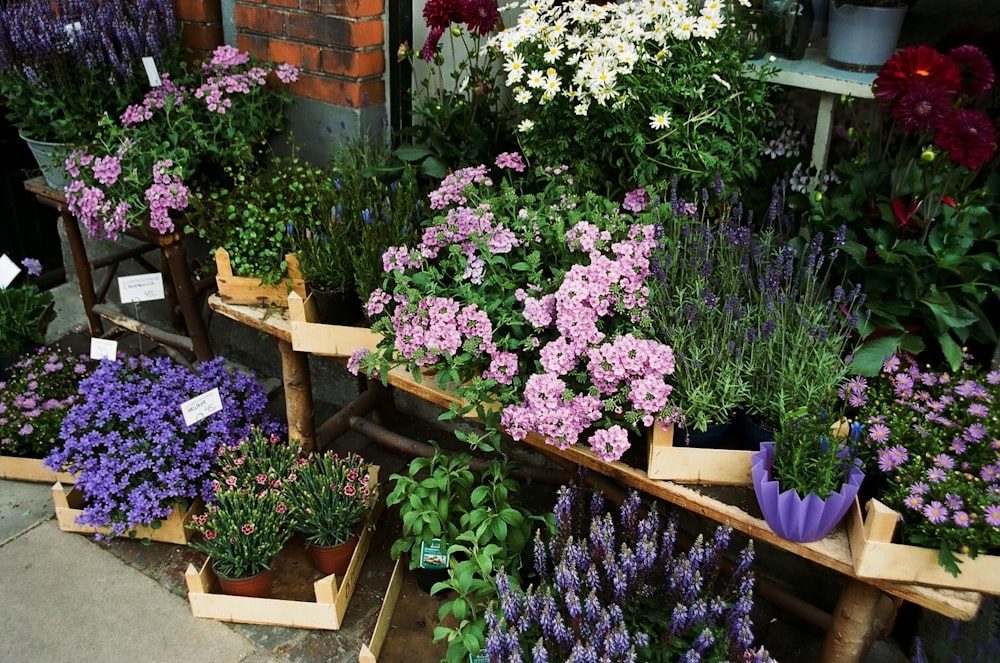 茶色の木製のテーブルに紫色の花