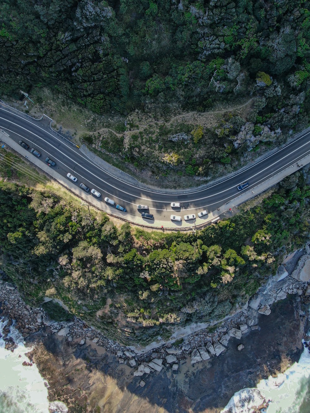 aerial view of road in the middle of green trees