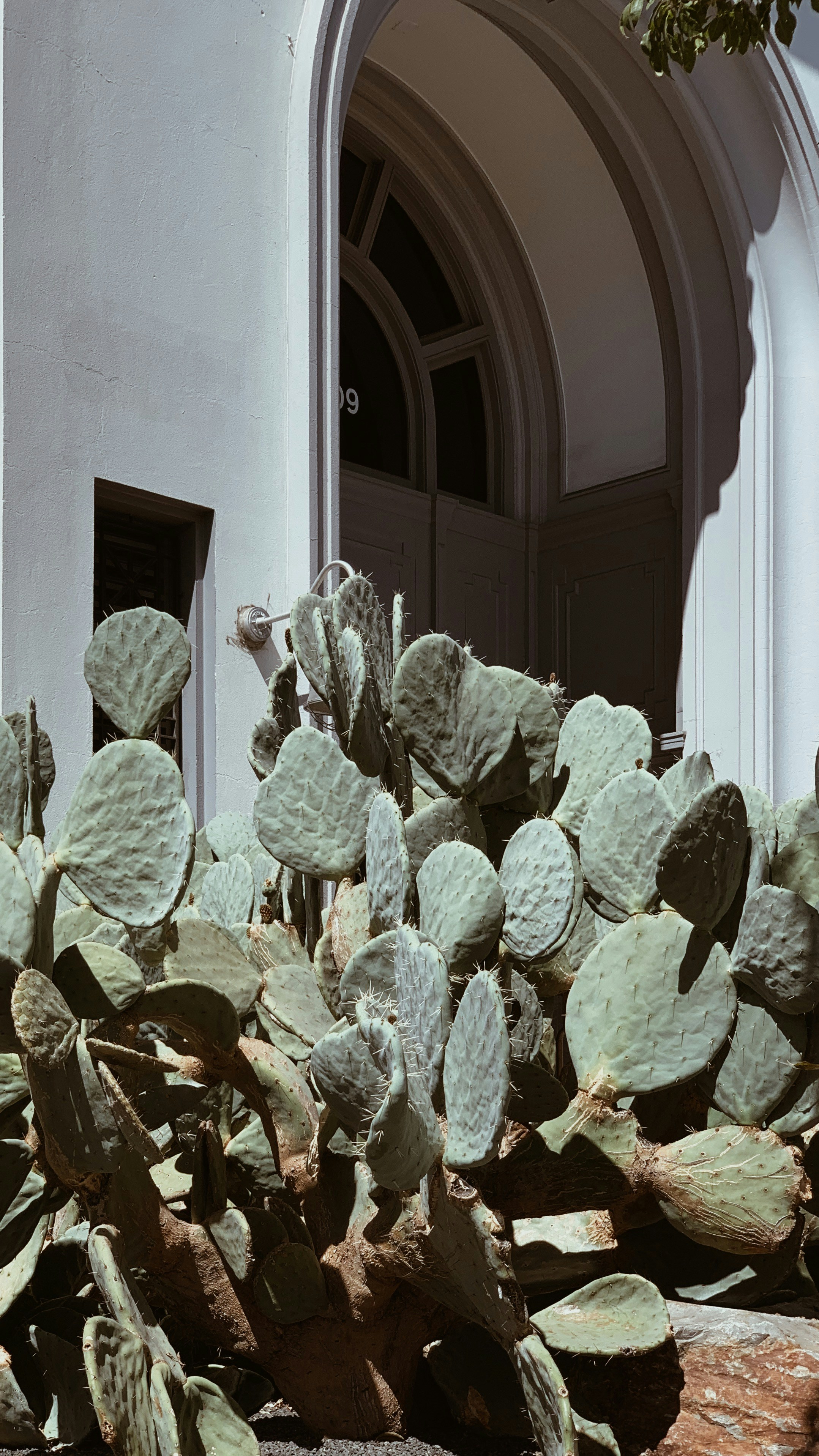 hauser & wirth