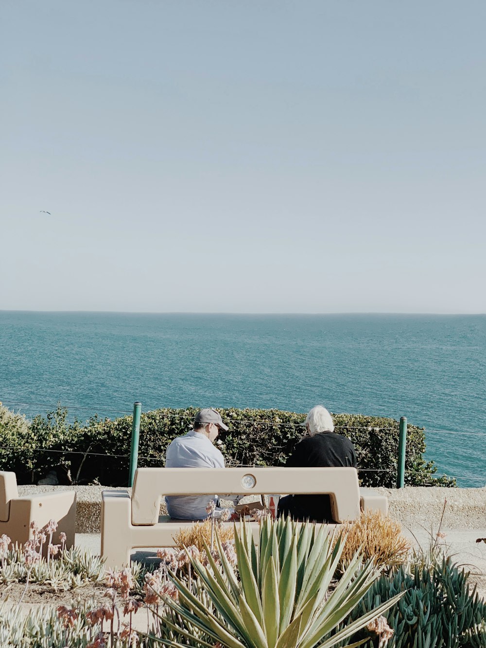 Pareja sentada en un banco blanco cerca del mar durante el día